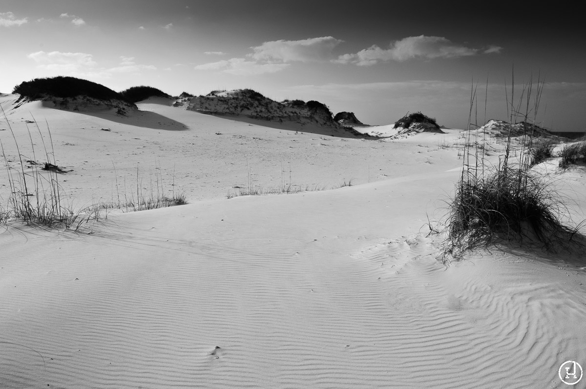 Destin, FL sand dunes at sunrise