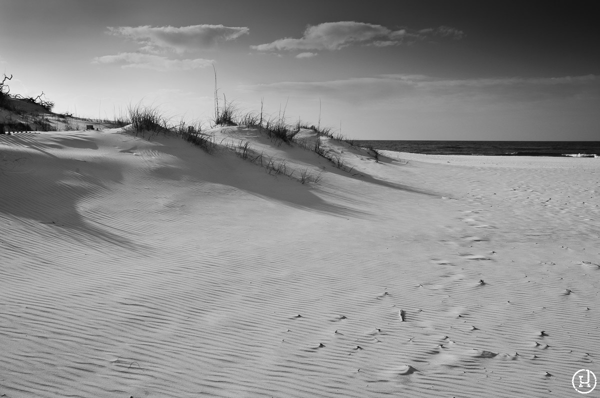 Destin, FL sand dunes at sunrise