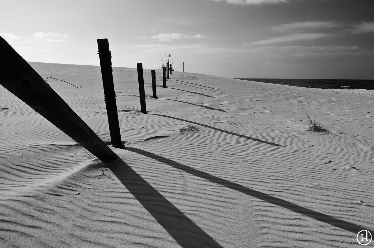 Destin, FL sand dunes at sunrise