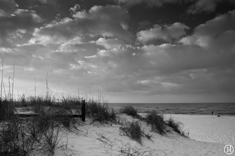 Destin, FL sand dunes at sunrise