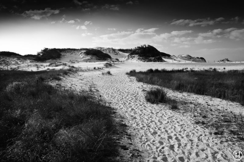 Destin, FL sand dunes at sunrise