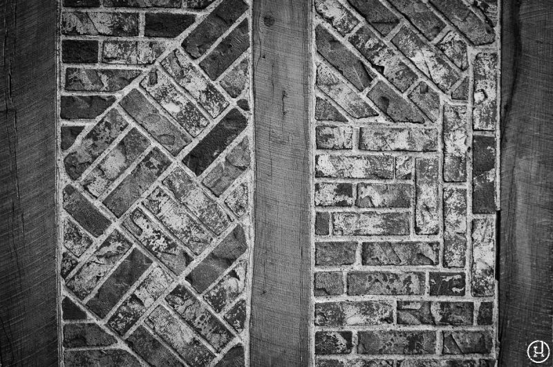 Kelby Photo Walk 2011